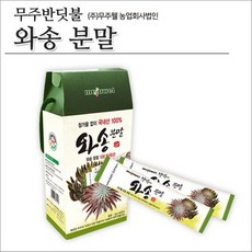 무주웰 와송분말스틱(2.5gx50포) 아보카도오일 양파즙 사과즙 야채, 단일 수량