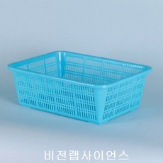 w사이언스