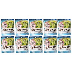 Marutomo 일본직배송 마루토모 시오캬베츠 재료 소금양배추 혼술안주 자취생간편요리 40g 10개 1세트