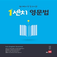1센치영문법