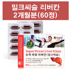 파워 밀크씨슬 간영양제 약 2개월분 간에 좋은 음식 식품 영양제 지방간 간경화 통증 관리 음주 알콜 숙취 분해 질환 건강 증상 엉겅퀴 남성 남자 20대 30대 40대 50대 60대