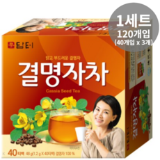 담터 담터에프엔비 결명자차, 1.2g, 120개입, 4세트