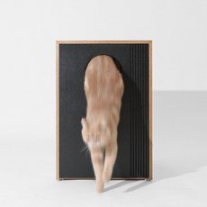 코지토일렛 (고양이 원목화장실)