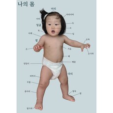 아기 신체포스터 유아 학습포스터, 베이비 블루, 420*594, 한글