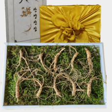 [한국명품산삼] 진짜 100% 지리산 산양삼 5-6년근 산지직송 선물용 장뇌삼 산양산삼, 5-6년근 10뿌리, 1박스