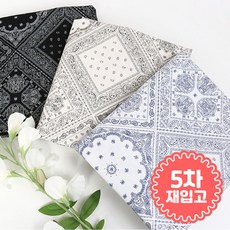 페이즐리원단 TOP01