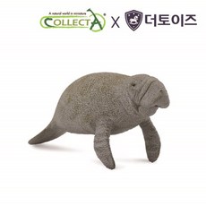 컬렉타 매너티 야생 동물 피규어 장난감 모형