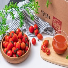 대추방울토마토 2kg 두개구매시 1kg 추가 5kg 발송, 소과 1kg, 1개