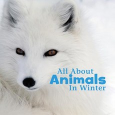 All about Animals in Winter Hardcover, Capstone Press