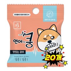 브리더랩 한입애 쿵 20g 연어, 20개 - 소가쿵