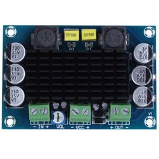 DC 12V-24V TPA3116 D2 100W 모노 채널 디지털 오디오 전력 증폭기 보드 자동차, 01 Black