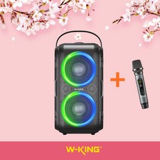 W-KING 더블유킹 파티박스 Dyna T9 휴대용 블루투스 스피커 공연 버스킹 강연 축제 노래방