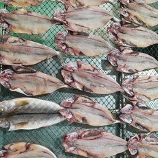 기타 당일조업국내산손질임연수4kg28-32미, 임연수 4kg 20-22미, 1개