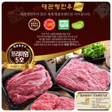 대관령한우 프리미엄 5호(3KG) 등심 채끝 불고기, 1개