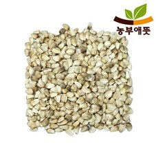 농부애뜻 홍화씨 500g 국산, 1개