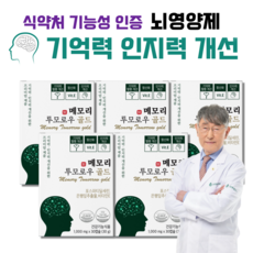 테라브레인
