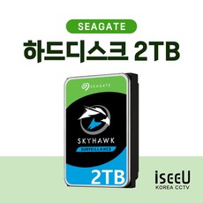 씨게이트 스카이호크 2TB 하드디스크 HDD CCTV용 2테라 3.5인치 - 스카이호크2tb