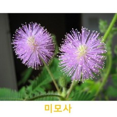 29c84e9a8aac45d0cce4591e640eb371cc033fc1634ed184740d28b45341.jpg