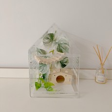 야야랜드 야야 홈 케이지 도마뱀 사육장 크레스티드게코 게코, 1개, 2030
