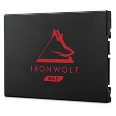 씨게이트 아이언울프 125 NAS SSD (500GB)