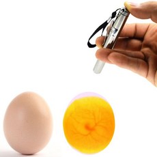 부화기 병아리부화기 계란부화기 계란 개발 모니터링 양초 인큐베이터 LED 초저온 장비 부화 도구