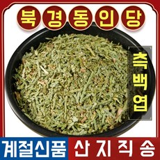 북경 동인당 야생 측백엽 한방차 한방재료 500g, 1봉