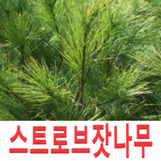 b6e53fc0d37339590b95f4d6fa26a846643b78e648c03a80ef4791409a54.png