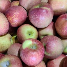 아리수 사과 특품 5kg, 1, 상세페이지 참조, 상세페이지 참조