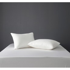 알레르망베게솜5070