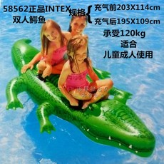 에어바운스악어