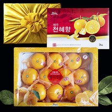 제주천혜향선물세트2호