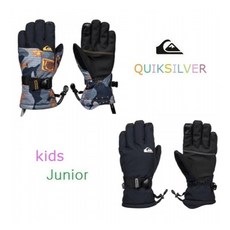 퀵실버아동스키