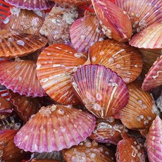 429fee45cf27eb96bcc4040c97e3cedde90c8603f9b14f47ef14ff50c261.jpg