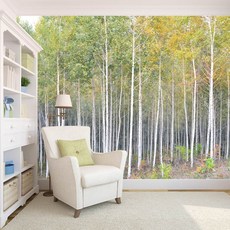 자작나무숲벽지