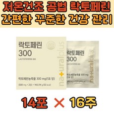 와일드컷망고