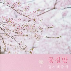 파스텔 성장동영상 돌잔치 영상 꽃길무비, 1개