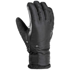 Leki Alpino 장갑 Snowbird 3D Goretex