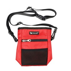 강아지등교가방