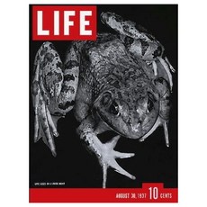 Life Magazine 8 월 30 일 1937. 내부 기사 미국 기념물 일본의 사람들 Waldo Peirce, 본상품, 본상품