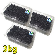 생아로니아3kg