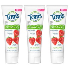 Tom's of Maine Children's Toothpaste Silly Strawberry 탐스오브메인 키즈어린이치약딸기 144g 3개 치약
