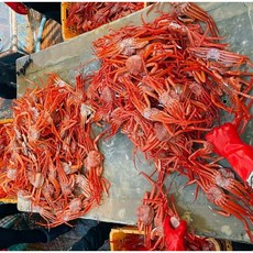 b309e29c02fa7743cc9f4a3a43bc8b5c08f67606031a1814152139ab5f7b.jpg