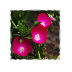 2cf9104d629bd26ecbaaabf873736927aff5f8b716d2ca28258a8199305e.png