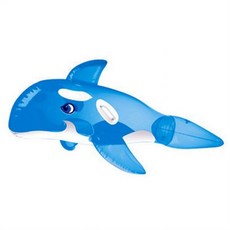 돌고래라이더온