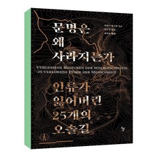 문명은 왜 사라지는가 / 돌베개