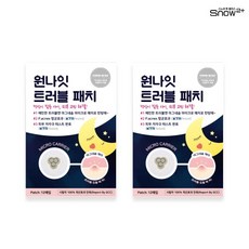 원나잇트러블패치