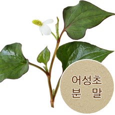 화장품 비누diy재료-천연분말 허브A, (국내산)어성초분말-100g - 살리실산분말