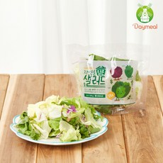 데이밀 자연을담은 샐러드 실속A 100g x 10팩 국내산 야채믹스, 10개, 드레싱없음 - 데이일