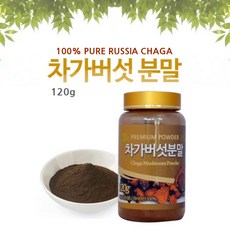 러시아 차가버섯 분말 가루 원물 덩어리 환 베타글루칸 크로모겐 항산화 SOD 러시아 차가버섯차 먹는방법 자작나무버섯, 120g, 1병
