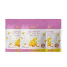  보호리 강아지 피부 피모 영양제 뉴트리냠냠 미니 85g, 3개 